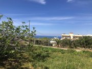 Violi Charaki Kreta, Viola Charaki: Grundstück nahe dem Zentrum von Rethymno mit Meerblick zu verkaufen Grundstück kaufen